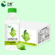 万基 全爱 青柠薄荷苏打水 380ml*24瓶 无糖0脂0卡路里
