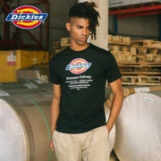 Dickies DK006919 字母印花短袖T恤