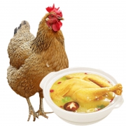 现杀 2斤x2只：优旋 农家散养老母鸡