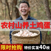 乡公馆 正宗农家散养柴鸡土鸡蛋 40枚