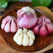 现挖现发 河南新鲜紫皮大蒜5斤