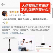 小米众筹爆款 Move it 智能拳击速度球 家用打拳健身速靶