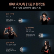 莱克立式无线吸尘器M10R+水离子涡扇电吹风F6 专属礼盒套装