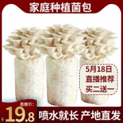 喷水长蘑菇 家庭种植菌包 3斤