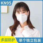 KN95级别 防病毒口罩 10只独立包装