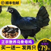 守绿 农家散养300天乌骨鸡 2斤*2只