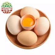 潍坊馆 山林土鸡蛋 柴鸡蛋 稻壳精装 40枚