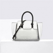 CHARLES＆KEITH CK2-50150861 透明拼接单肩包