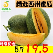 朝道臻品 西州蜜瓜 5斤x2件