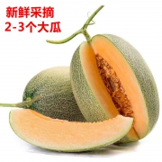 西羌脆 新疆哈密瓜西州蜜瓜10斤装 47.8元包邮（需用券）