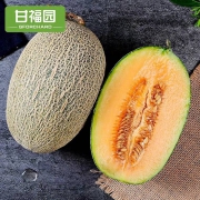 天猫 甘福园 新疆哈密瓜 10斤 20.9元包邮（下单立减）