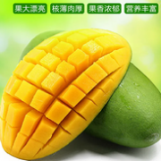 坏果包赔 肉厚无丝：广西 金煌芒果 3斤