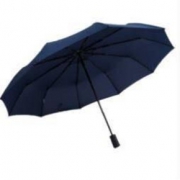 天猫 XIHUPAISAN 西湖 全自动雨伞 8骨