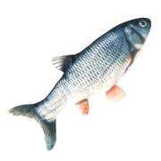 PAIJIA 派佳 仿真电动跳跳鱼 127 USB充电 30cm 15.8元包邮（需用券）