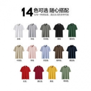 M6000 新疆长绒棉 男修身商务休闲Polo衫