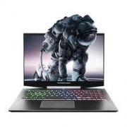 ThundeRobot 雷神 911 Pro 钛空2代 15.6寸 游戏本（i7-10750H、8G、512GB、144Hz、RTX2060）