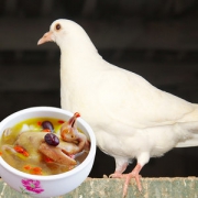 守绿 农家散养土乳鸽 3只/2斤 生鲜现杀