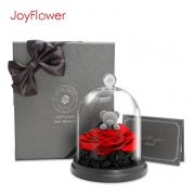 joyflower 玫瑰熊永生花礼盒 209元包邮（需用券）