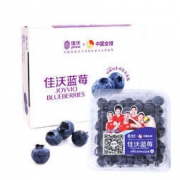 Joyvio 佳沃 国产蓝莓 A级 12盒装*125g/盒