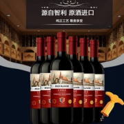 智利原酒进口红酒 梅赛得 干红葡萄酒750ml*6支装