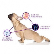 petpaigrid 宠百格 狗狗钙片 380粒