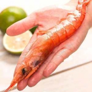 菜帮 L2级 进口阿根廷红虾 净重4斤 单只17-19cm