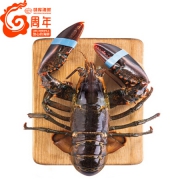 味库 进口鲜活波士顿龙虾 650-750g/只 买一送一
