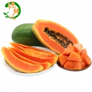 红心牛奶 木瓜 新鲜水果 10斤