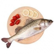 仙泉湖 白蕉海鲈鱼三去净膛500~600g(珠海地标特产CNAS认证)烧烤食材海鲜水产 *3件