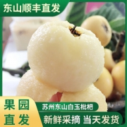 苏州东山 白玉白沙枇杷 5斤