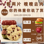 粗粮无糖精全麦燕麦代餐饼孕妇零食 13.9元