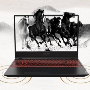 61预告： Lenovo 联想 拯救者Y7000 2019 15.6英寸 游戏本（i5-9300H、8GB、256GB+1TB、GTX1650 4G）