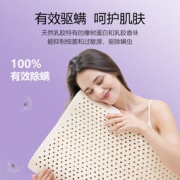 大额神券：玺堡 泰国进口乳胶枕 90%+乳胶含量