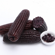 农存 （食品） 山东黑糯玉米棒   220g*10 24.8元包邮（双重优惠）