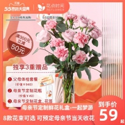 送980元父母体检套餐 母亲节康乃馨鲜花花束