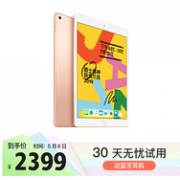 疫情期硬通货：Apple iPad 2019款 10.2英寸 64g