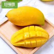 云南 鹰嘴芒 新鲜当季水果 10斤装