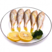 秦岚 海捕小黄花鱼生鲜 1000g*2件