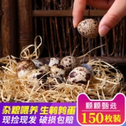 憨大姐 新鲜鹌鹑蛋 150枚共1500g