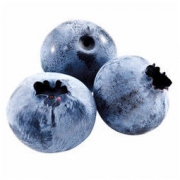yuguo 愉果 顺丰空运 现摘新鲜蓝莓 125g*4盒装 *3件