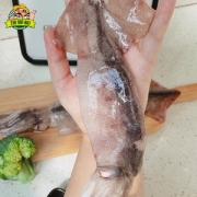 海捕急冻深海大鱿鱼 拍5份净重2500g