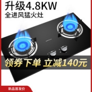 九阳 FB01S 4.8kw猛火燃气灶 球形加热不糊底 1级能效