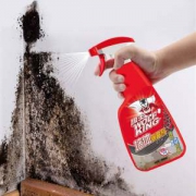 狼王 白墙体除霉剂 650ml