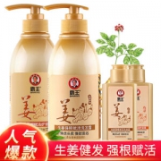 BAWANG 霸王 生姜洗护套装（洗发露450ml+护发素450ml+送旅行装80ml*2） *2件