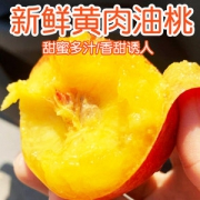 吉春 新鲜脆甜油桃 5斤
