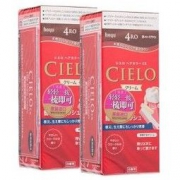 15日10点、硬核补贴： Cielo 宣若 EX按压式 植物泡沫染发膏 80g*2盒装