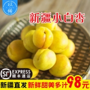 预售 产于中国白杏之乡 新疆阿克苏 库车小白杏 净重4斤 果核内含杏仁