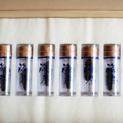 水墨海湾 速发海参（珍品）10头 野生刺参 产地直销 水产干货