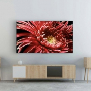 SONY 索尼 KD-75X8500G 75英寸 4K 液晶电视 10669元包邮（需用券）