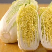 县长直播推荐：邑只鹿 农家自种娃娃菜 5斤